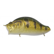 ZACRAWL YAJIROBEE - Golden Peacock Bass
